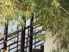 -龙华素斋(龙华路店)