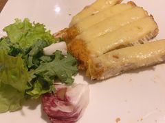 -百好乐宠物友好餐厅(朝外大街店)