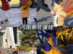 -中国西峡恐龙遗迹园