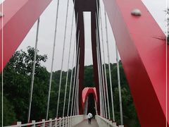 -玉树公园