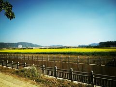-光明小镇欢乐田园
