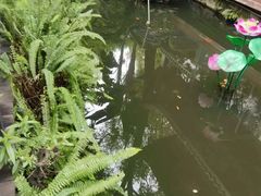 -大妙火锅·非物质文化遗产(东湖公园店)