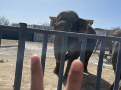 -新疆天山野生动物园