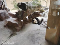 -宁波野生动物园