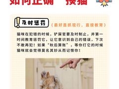 -小猫来了·猫舍(红山六九七九店)
