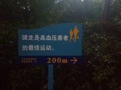 -西安市长乐公园