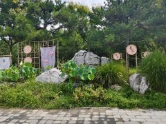 -莲花池公园