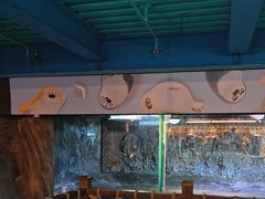 -海合安青岛极地海洋公园