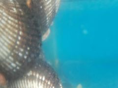 -雅逸居海鲜小厨