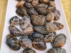 -鑫渔港海鲜本地菜·山海关浑锅(东戴河店)