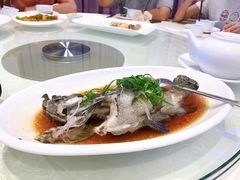 清蒸游水海石斑1斤-金翠皇宫粤菜·点心·海鲜(科技园店)