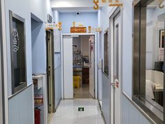 -纳吉亚猫专科动物诊疗中心(蒋宅口分院)