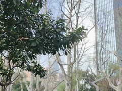 -静安公园(静安寺街道)