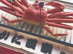 -蟹道乐(道顿堀本店)