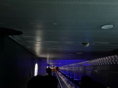 -白鹤梁水下博物馆
