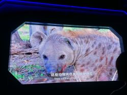 -飞览天下沉浸式飞行体验(北京旗舰店)