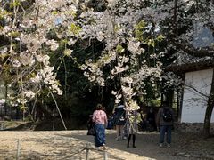 -醍醐寺