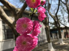 -陕西理工大学(北校区)