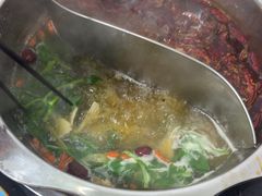 -金鼎雪山牦牛杂火锅(理县总店)