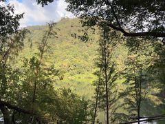 -广州市石门国家森林公园