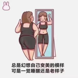 -香薇妮丝·定制减肥·身材管理