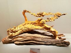 -温州博物馆