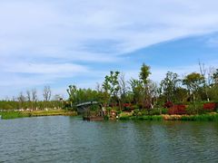 -上海长兴岛郊野公园