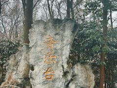 -音乐台