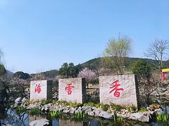 -香雪海
