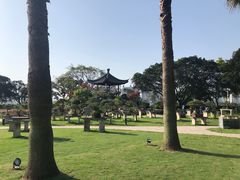 -江心屿景区