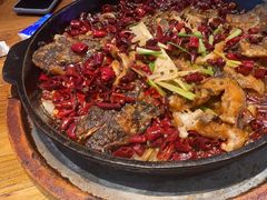 -老板恋上鱼(印象城店)