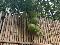 -正宗火盆自助烧烤·烤全羊·柴火鸡(龙泉山店)