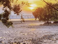 -宝安西湾红树林湿地公园