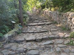 -阳台山自然风景区