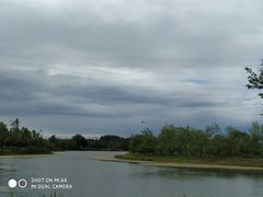 -东郊湿地公园
