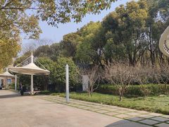 -新江湾城公园