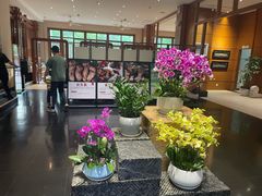 -黔蘑菇四季餐厅(观山湖店)