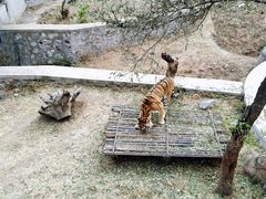 -石家庄市动物园