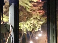 -岚山嵯峨野观光小火车