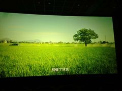 -金逸影城(百信东区店)
