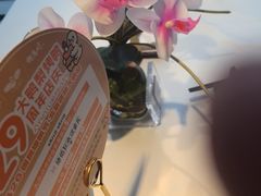 -大鸭梨烤鸭(望京店)