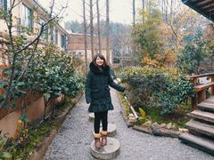 -乐领拈花溪·林涧食韵