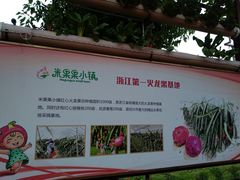 -米果果小镇