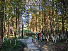 -桤木河湿地公园