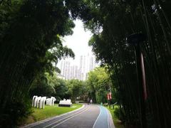 -苏州河梦清园环保主题公园