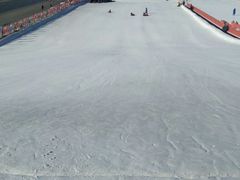 -沈阳奥体冰雪嘉年华