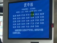 -武汉关码头(轮渡站)