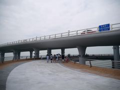 -演武大桥观景平台