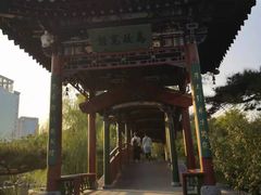 -迎泽公园