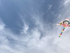 -琴岛之星摩天轮